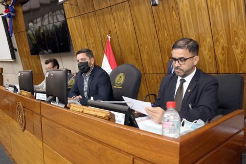 Sesión extraordinaria en la Cámara de Diputados. Foto: Diputados.