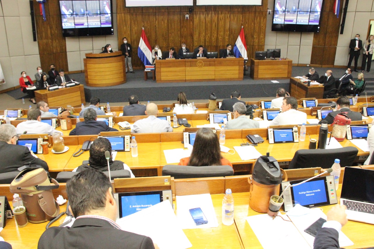 Sesión extraordinaria de la Cámara de Diputados. Foto: gentileza.