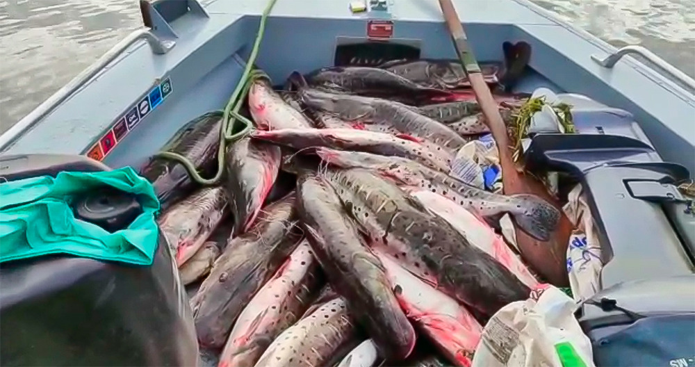 Detienen a tres paraguayos por pesca depredadora en Porto Murtinho
