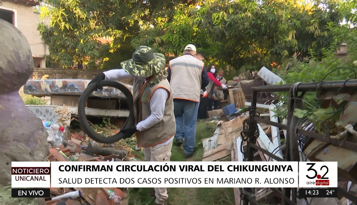 Salud confirma los dos primeros casos de chikungunya