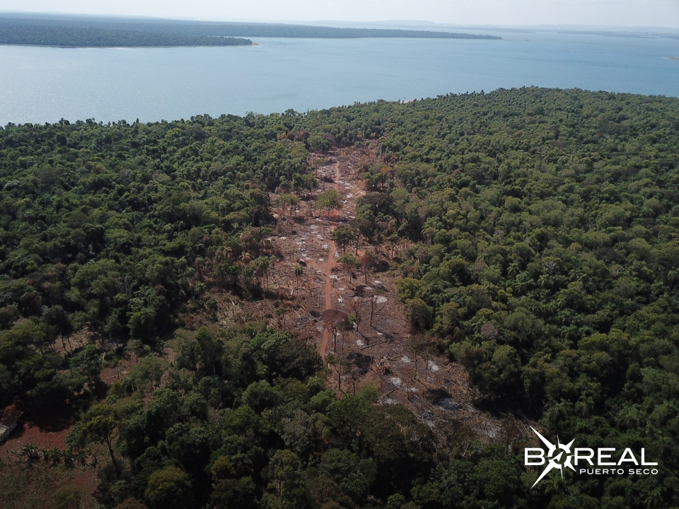 Día de la Tierra: nada que festejar debido a la crisis ecológica, aseguran