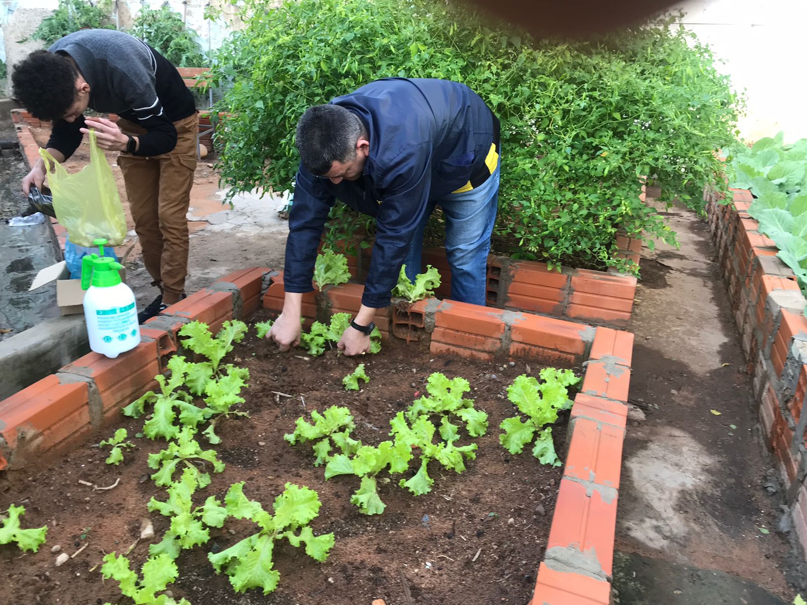 El interno cultiva alimentos para más de 110 internos.