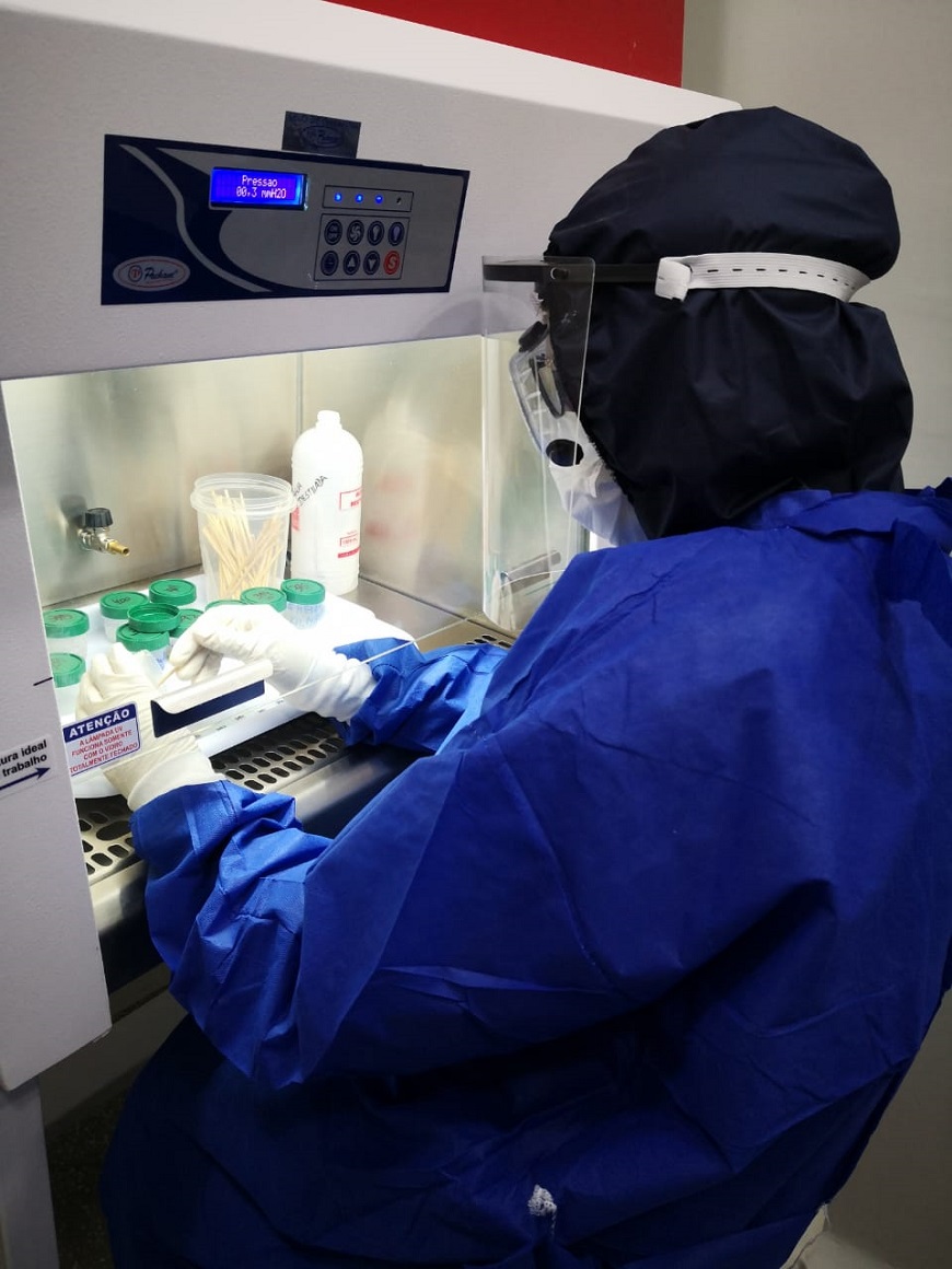 Muestras en el laboratorio / imagen de referencia.