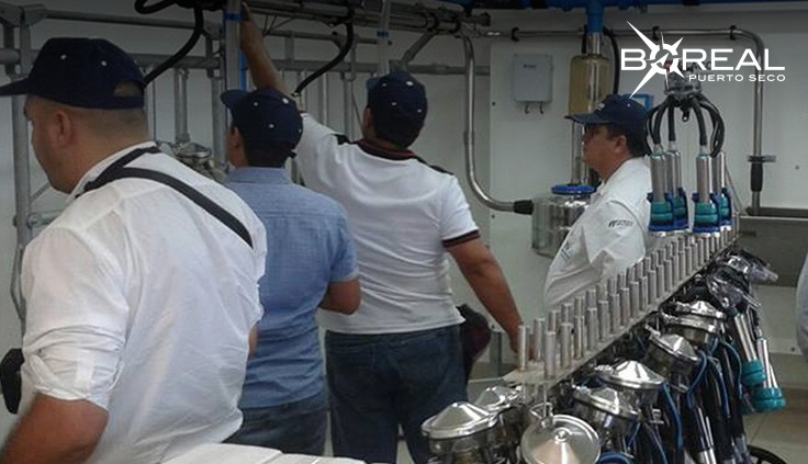 Taiwán, interesado en importar leche en polvo de Paraguay