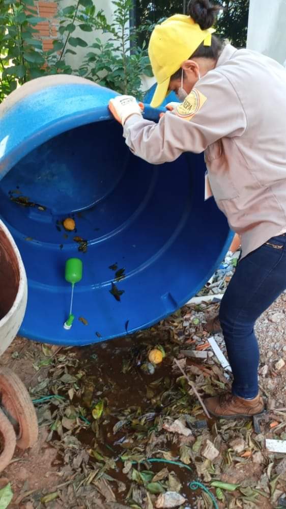 Ante casos de dengue y chikungunya, Salud insiste en la eliminación de criaderos. Foto: @SenepaParaguay