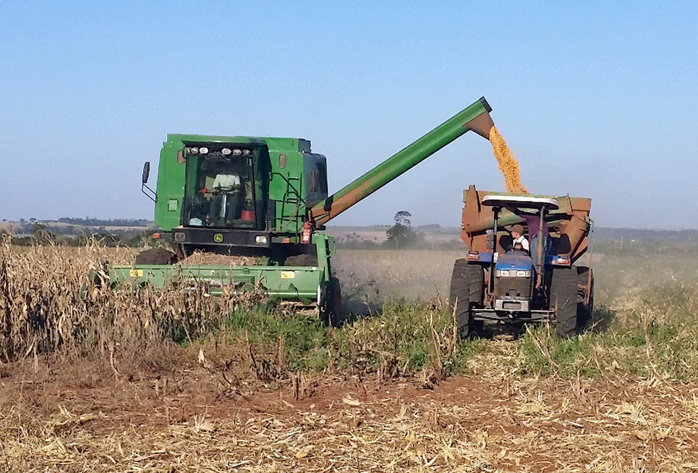 Realizarán censo agropecuario luego de 14 años. Foto: Foto: Agencia IP.