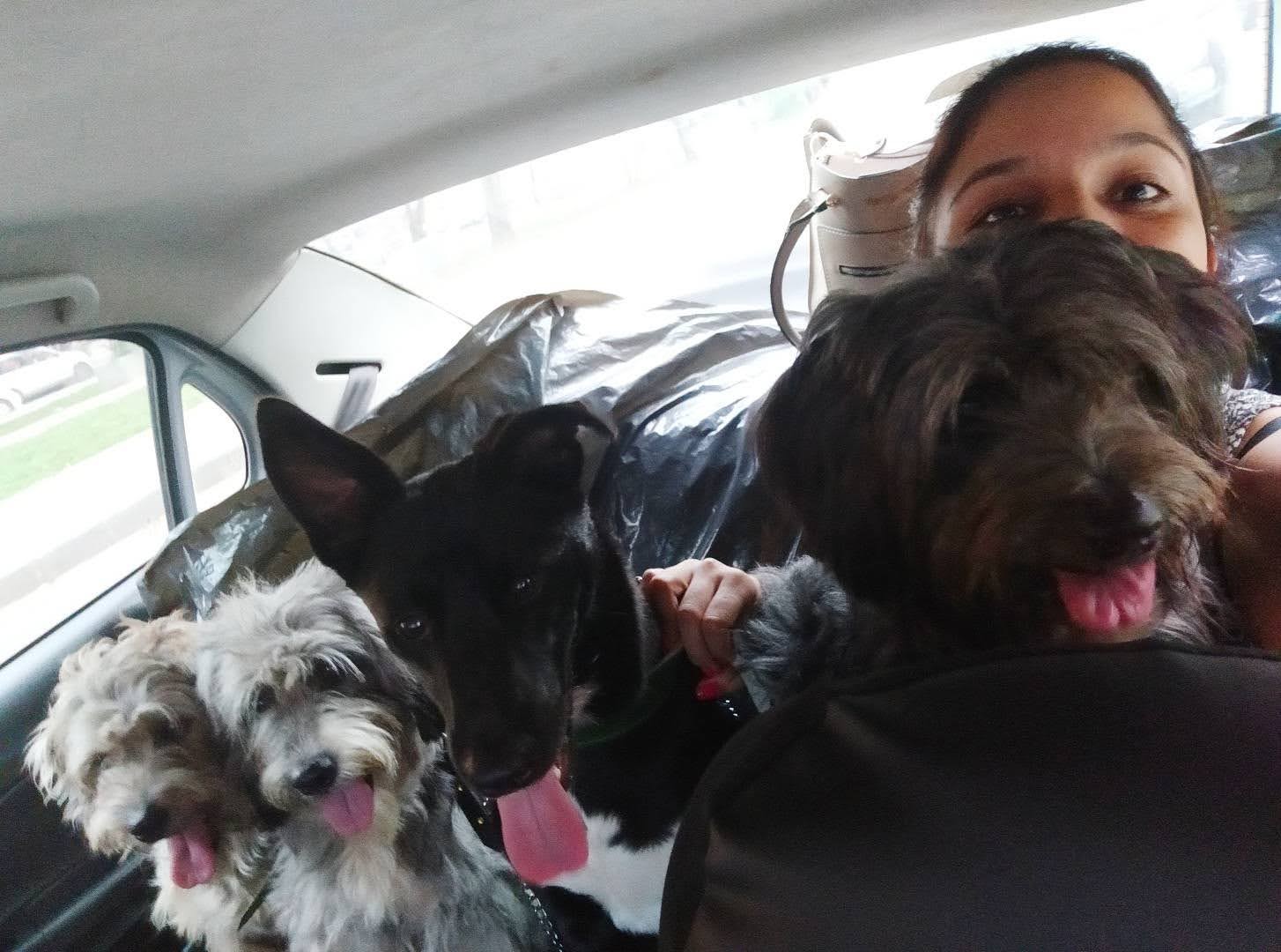Clarita con Milú, Doris, Bruna y Denis. Foto: Gentileza.