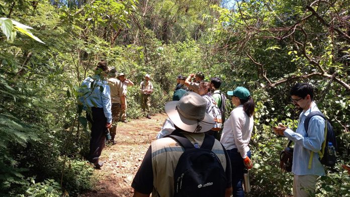 En Paraguay solo hay 83 guardaparques. Foto: IP.
