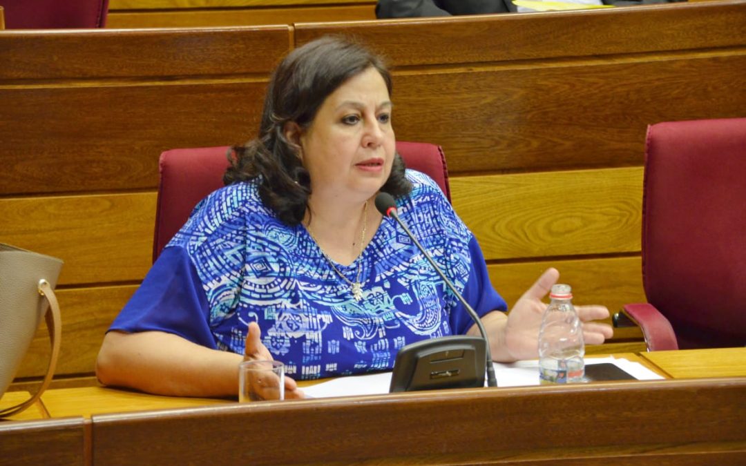 Esperanza Martínez declinó su candidatura presidencial y vuelve a postularse al Senado