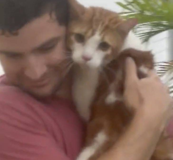 Joven arriesgó su vida para salvar a un gato del huracán Ian