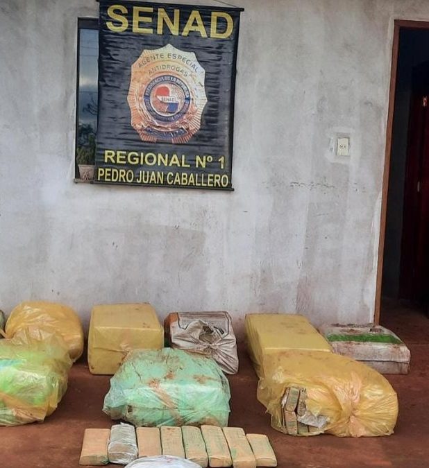Depósito de droga en Amambay: Senad incautó más de 300 kilos de marihuana