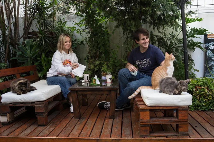 Puro ronroneo y relax: ¡Café con gatos causa furor en Buenos Aires!