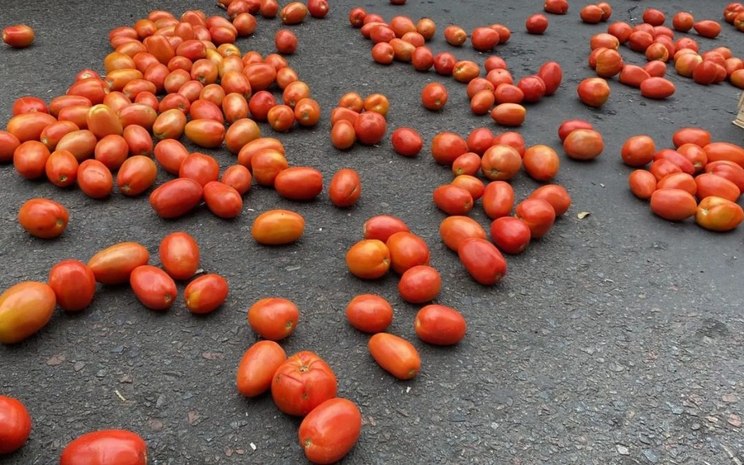 Productores de tomate vuelven a la capital para exigir el “fin” del contrabando