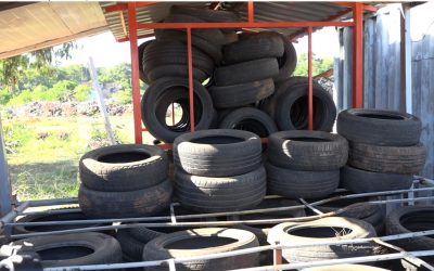 Instan a la recolección de neumáticos para evitar transmisión dengue, chikungunya y zika